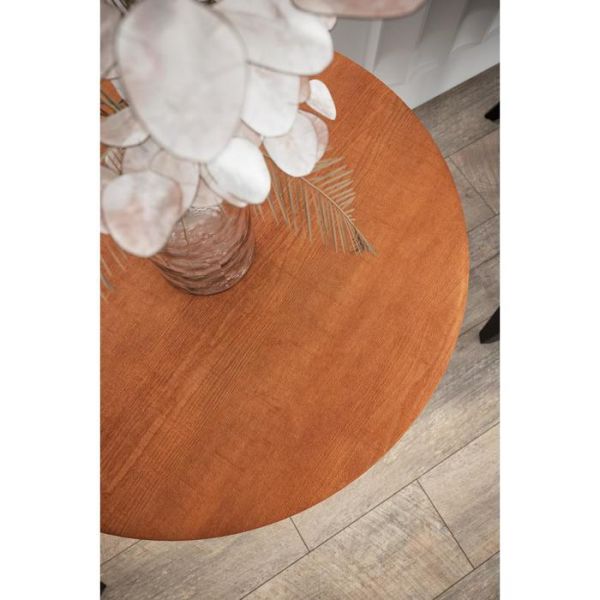 Стол журнальный «РИД Купер 530», 550 ? 550 ? 550 мм, цвет кариф