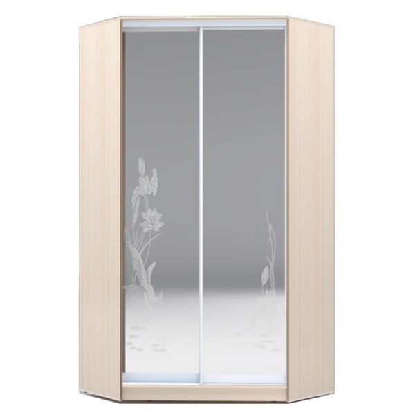 Угловой шкаф-купе Хит-У-23-4-66, 2300х1103х1103 Белый/Цапли