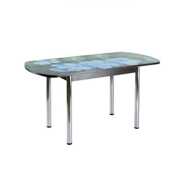 Стол раздвижной с фотопечатью Стин, 1100(1420)x700x760, Венге/Дерево/Хром прямые