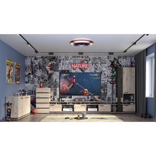 Шкаф для посуды Nature 13, 560 ? 416 ? 2116 мм, цвет гаскон пайн / чёрный