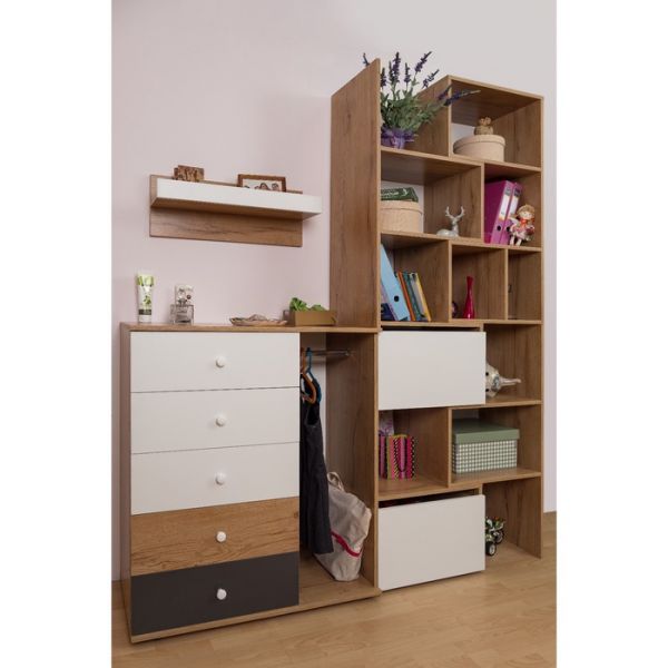 Комод «Лойс 87», 950 ? 445 ? 1048 мм, цвет дуб золотистый / белый / графит