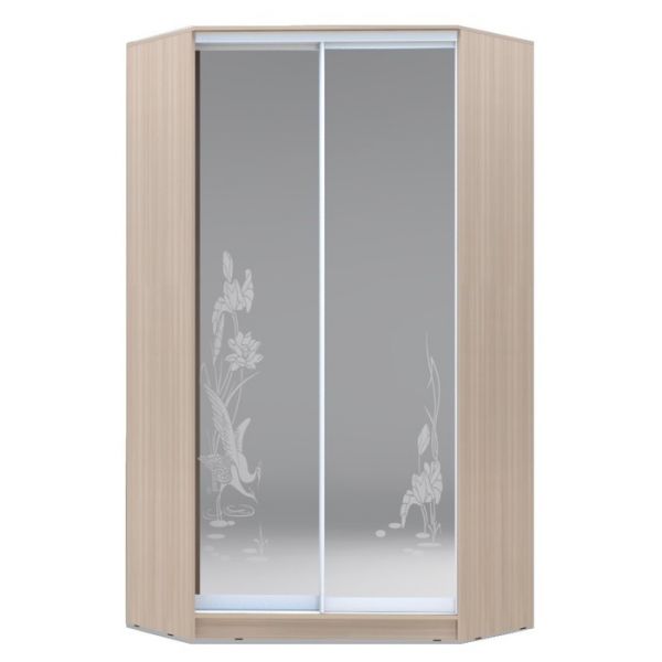 Угловой шкаф-купе Хит-У-23-4-66, 2300х1103х1103 Белый/Цапли