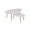 Комплект из двух журнальных столов «Твинс», 1200 ? 700 ? 460 мм, цвет белый