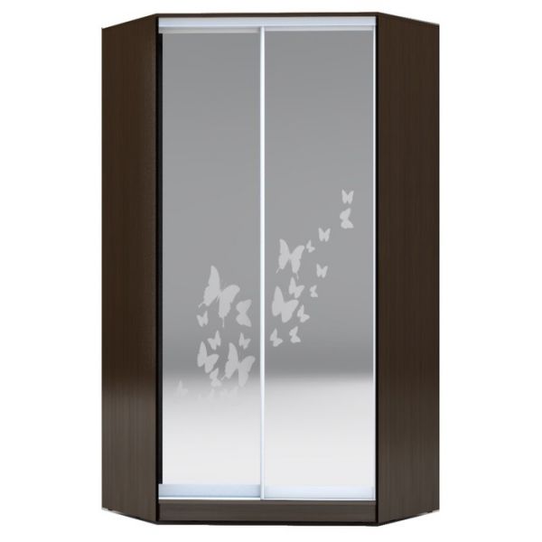 Угловой шкаф-купе Хит-У-23-4-66, 2300х1103х1103 Белый/Бабочки