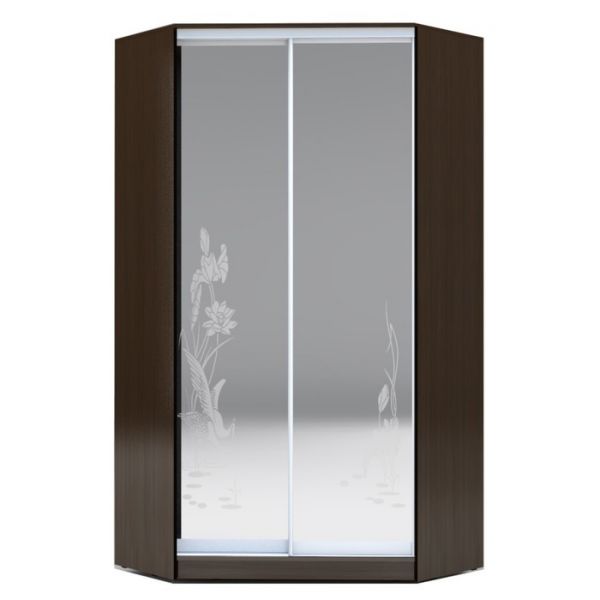 Угловой шкаф-купе Хит-У-23-4-66, 2300х1103х1103 Белый/Цапли