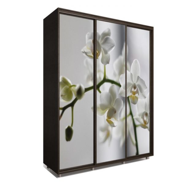 Шкаф-купе Яркий-222 2370х600х2300 Белый/Цветы 1