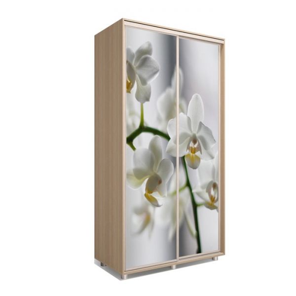 Шкаф-купе Яркий-22 1200х600х2300 Дуб Сонома/Цветы 1