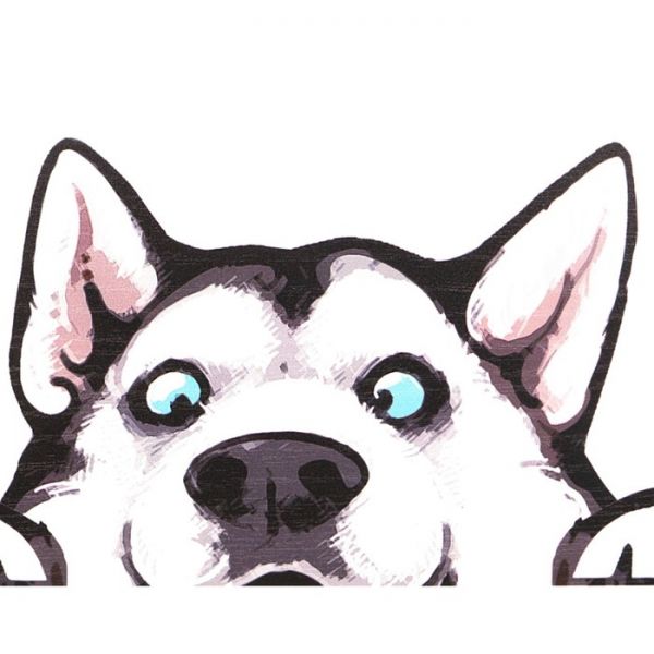 Комод 4 ящика Хаски-5 ирландский дуб/белый/мокко