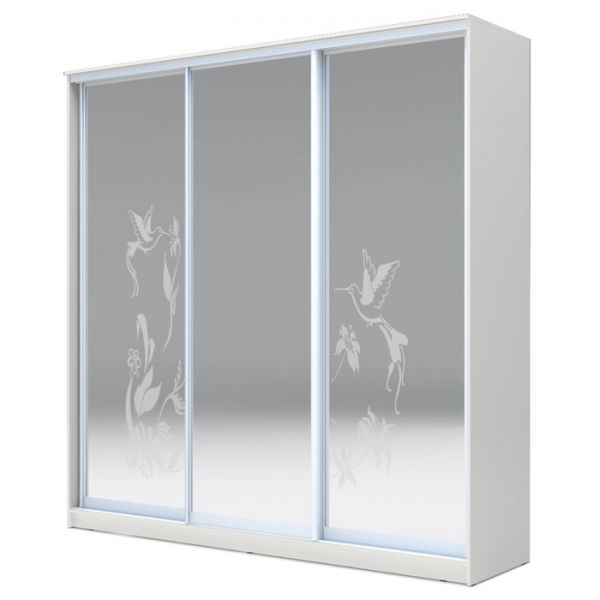 Шкаф-купе Хит-23-20-656 Венге магия, Колибри