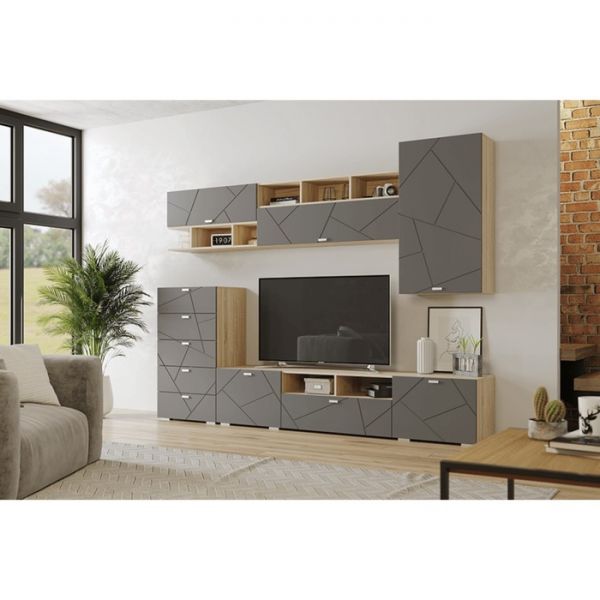 Тумба под ТВ СКАЙЛАЙН 1 ящик и 2двери 2102х445х456мм дуб сонома светлый/графит