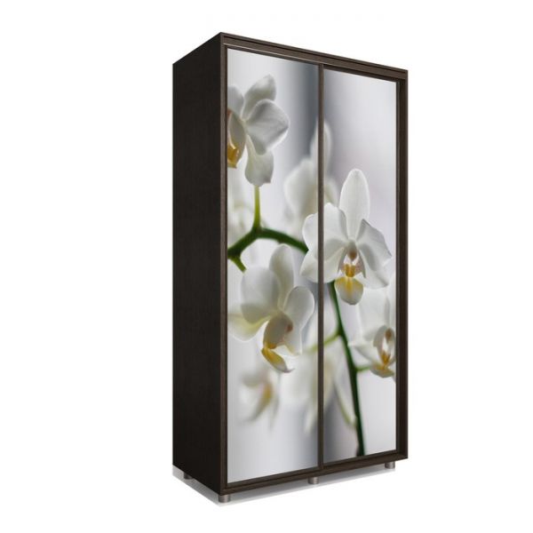 Шкаф-купе Яркий-22 1400х600х2300 Белый/Цветы 1