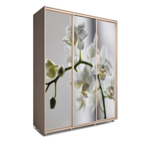 Шкаф-купе Яркий-222 2070х600х2300 Ясень Шимо Светлый/Цветы 1